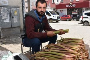 Uçkunun kilosu 10 TL'ye düştü