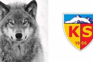 Kayserispor'un sembolü 'kurt' oldu