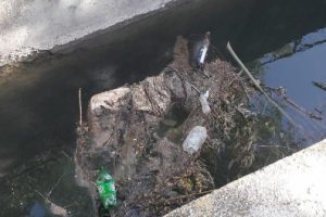 Konya'da başı ve kolu kesik kadın cesedi bulundu