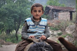 Bursa'da okula her gün eşekle gidiyor