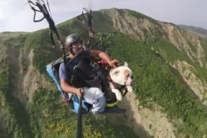 Yamaç paraşütü pilotu köpeğiyle uçuş yaptı!