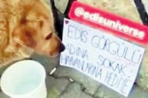 Edis'e hayranlarından duygulandıran jest