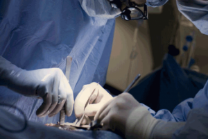 Bursa organ bağışında yeni rekor bekliyor
