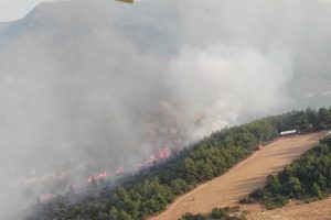 Muğla'daki orman yangını korkuttu