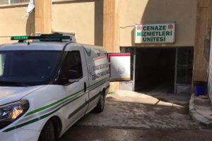 Sivas'ta keneden 1'i çocuk, 2 ölüm