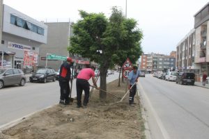 Bursa Gürsu'nun vitrinine yaz ışıltısı