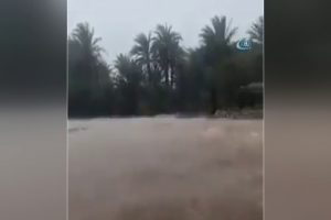 Sokotra Adası felaket bölgesi ilan edildi