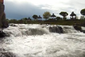 Uçan balıkların göçü sürüyor