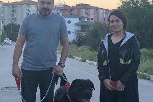 'Rudi'nin bulunmasını sağlayana ödül verilecek