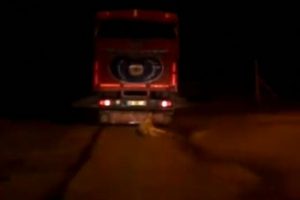 Kamyonetin arkasına bağladığı köpeği metrelerce sürükledi!
