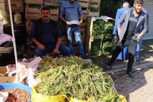 Aynı köydeki 84 ikiz var! 'İkiz iksiri' olarak anılıyor