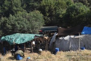 4 milyonluk şehirde sadece onlar kaldı!