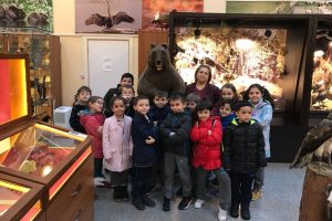 Bursalı öğrenciler müzedeki hayvanları canlı sandı