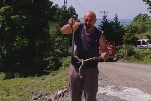 Yılanı kurtarmak için her şeyi yaptı