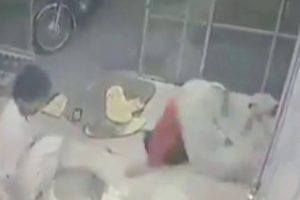 Tandıra böyle düştü!