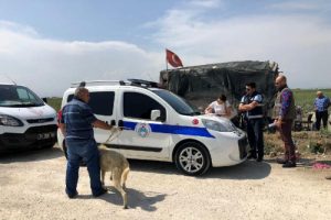 Sahibinin aç ve susuz bıraktığı köpeklere el konuldu