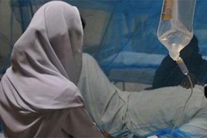 Nipah virüsü 13 can aldı!