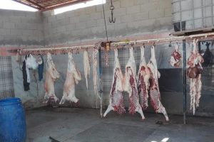 Hatay'da kaçak et operasyonu