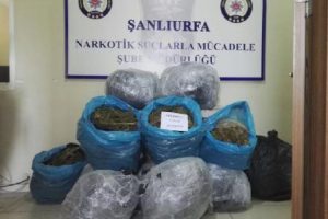 Minibüste 121 kilo esrar ele geçirildi!
