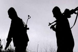 Giresun'da 2 PKK'lı terörist etkisiz hale getirildi
