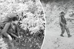 Bu fotoğraftan sonra o hain öldürüldü!