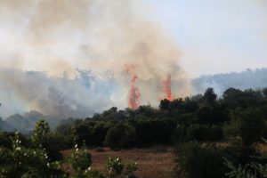 Çanakkale'de orman yangını hala söndürelemedi