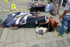 Hayvan Hakları Federasyonu'ndan fayton protestosu