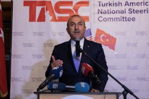 Çavuşoğlu: Müttefiklerimizden de almak isteriz