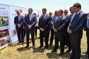 Türkiye'den Azerbaycan'a istihdam desteği