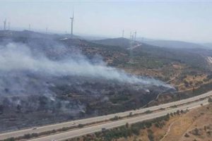 İzmir-Çeşme Otoyolu üzerinde yangın