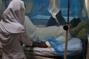 Hindistan'daki Nipah virüsü salgını