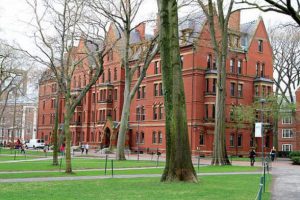 Harvard yine zirvede!