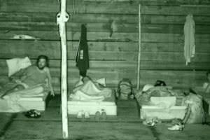 Survivor'da deprem paniği yaşandı!