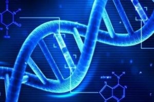 DNA robotlarının kontrolü için yeni sistem geliştirildi