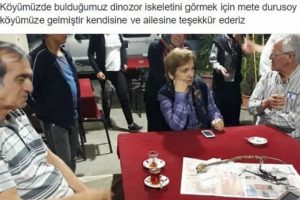Bulunan hayvan iskeleti gizemini koruyor