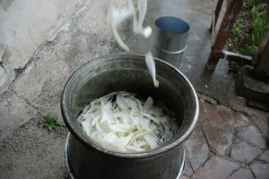 Akzambak yağını dededen kalma yöntemle çıkarıyorlar