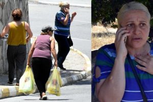 Bodrum'da aç kalan domuz sürüsü ilçe merkezine indi