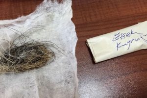 Cinci hocanın evinden çıkan şoke etti!