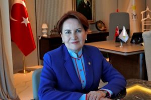 Akşener: Bir kediyi köşe sıkıştırırsanız sizi tırmalar