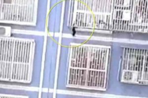 Asılı kalan çocuğu kurtarmak için dört kat tırmandı