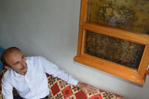 Evde yüzlerce arıyla birlikte yaşıyor!