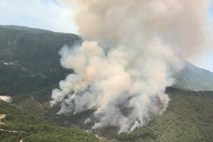 Hatay'da orman yangını