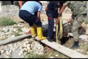 Kuyuya düşen eşek için seferber oldular
