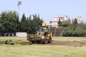 Altay'da sahalar yenileniyor