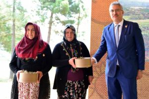 Osmanlı Çileğin'de ilk hasat yapıldı