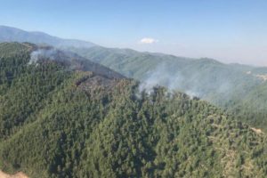 Hatay'daki orman yangını kontrol altına alındı