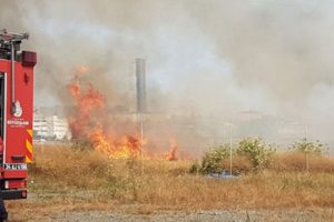 Buğday tarlasındaki yangın E-5'i dumana boğdu