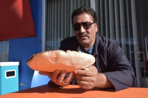 Dev çayır mantarı görenleri şaşırtıyor