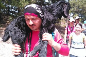Bursa'da yaralı oğlağı kurtarıp böyle taşıdılar