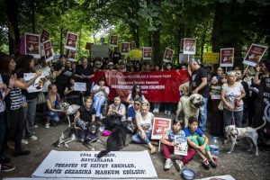 Hayvanlara yönelik şiddet protesto edildi